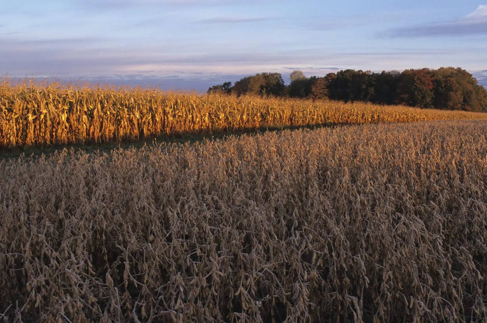 Bob Henry Farm in Robinson, KS