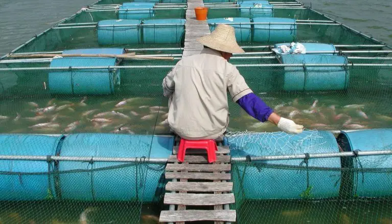 Aquaculture farmer