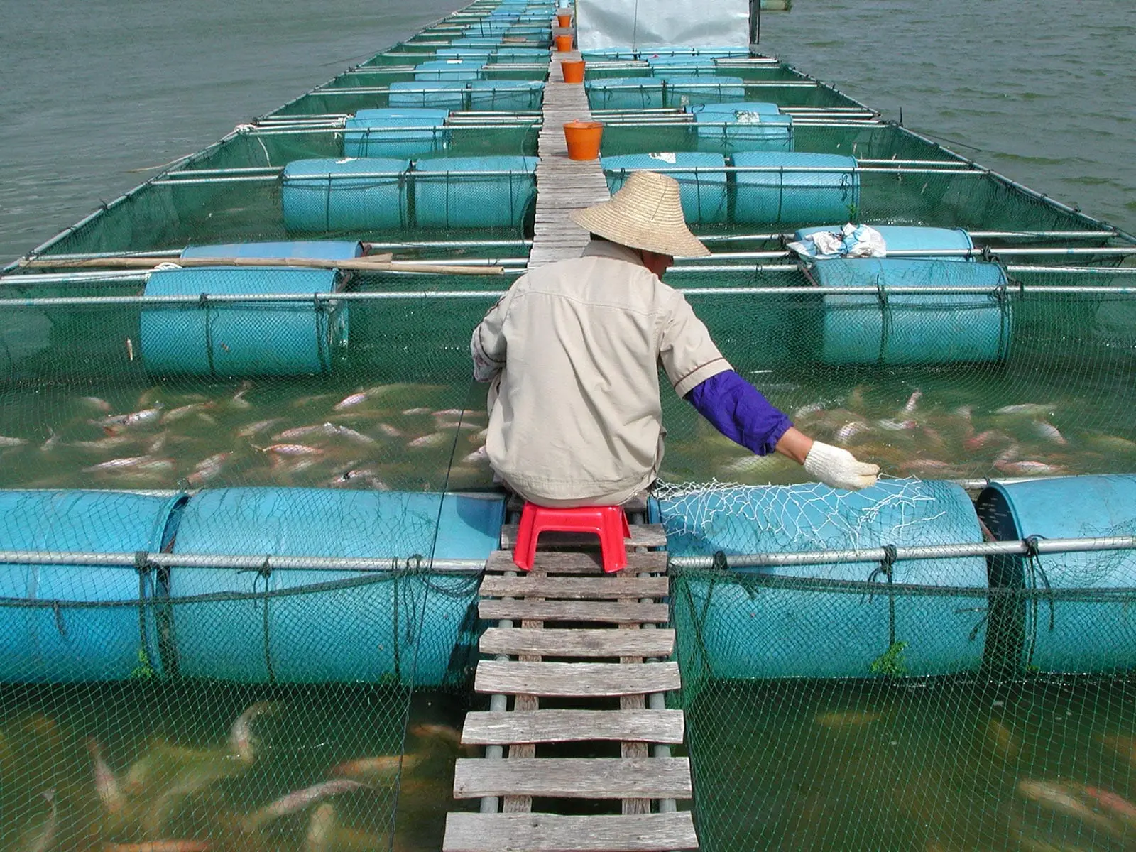 Aquaculture farmer