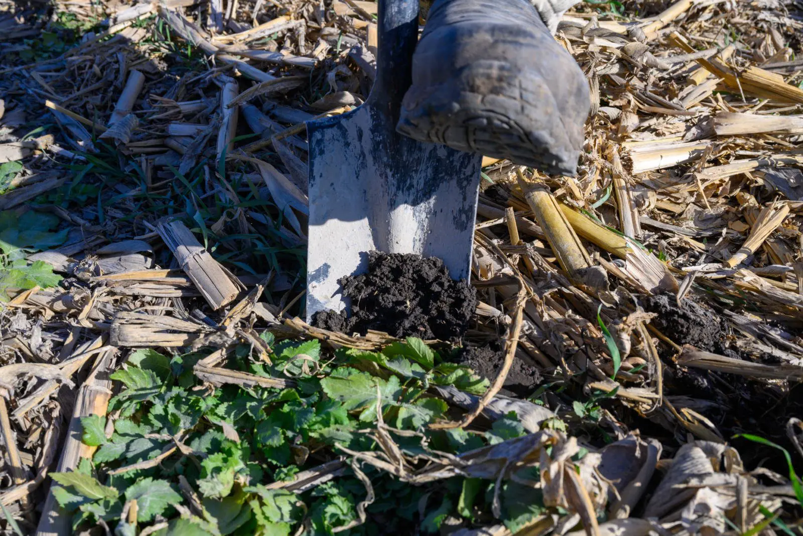 Brinker Farms Sustainable Practices