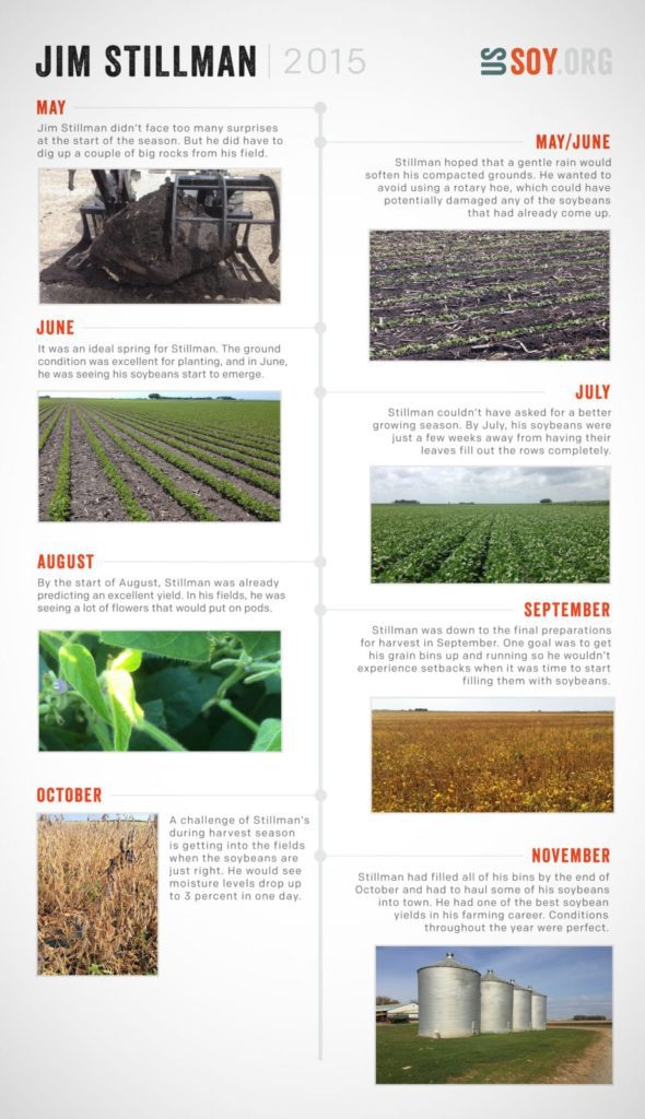 Stillman Farm, Emmetsburg, Iowa U.S. Soy