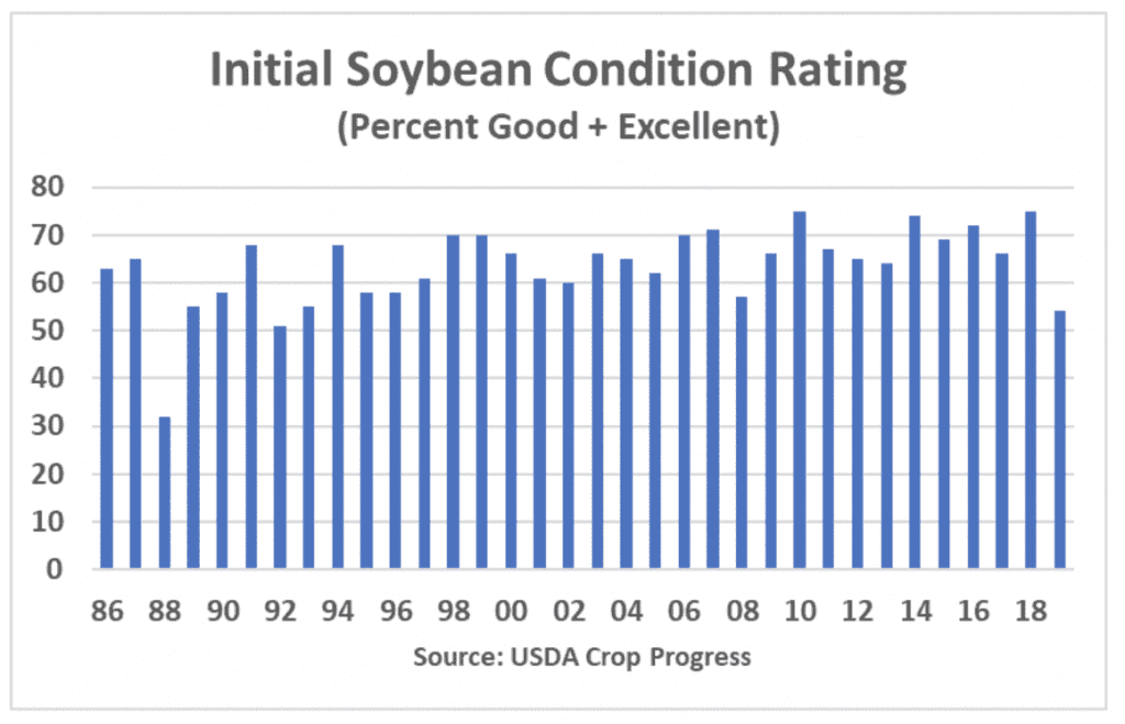 Initial U.S. Soybean Crop Ratings Point to Challenging Yields in 2019