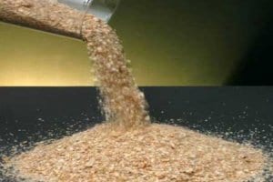 Soybean meal