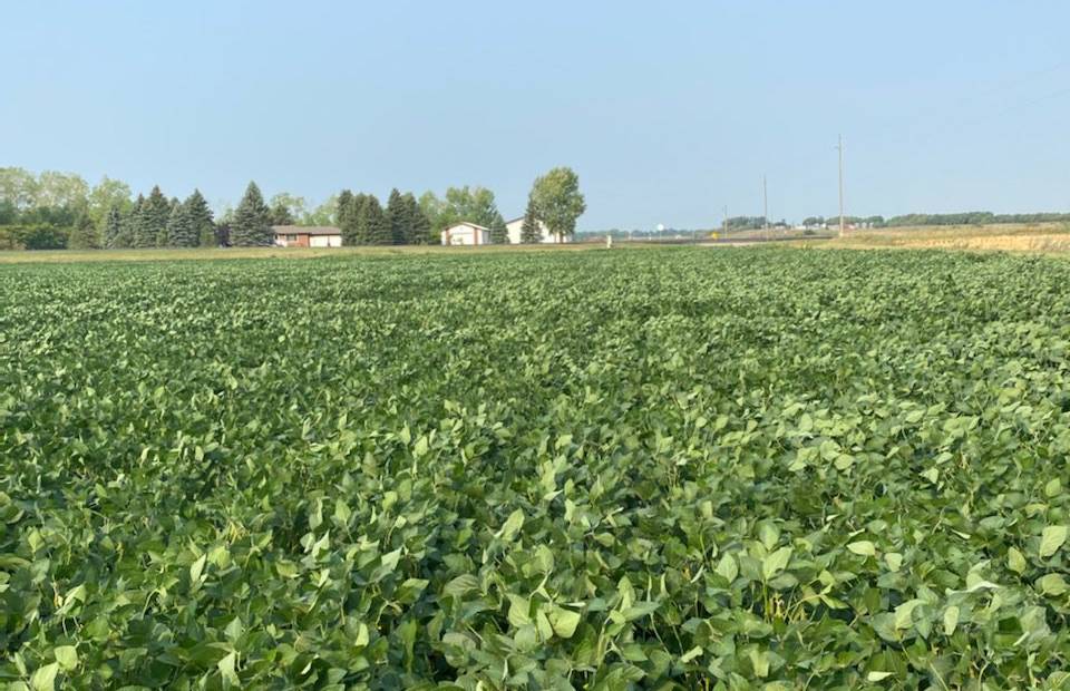 Ground Work 2021: Rain Needed To Fill Out North Dakota Soybeans - U.S. Soy