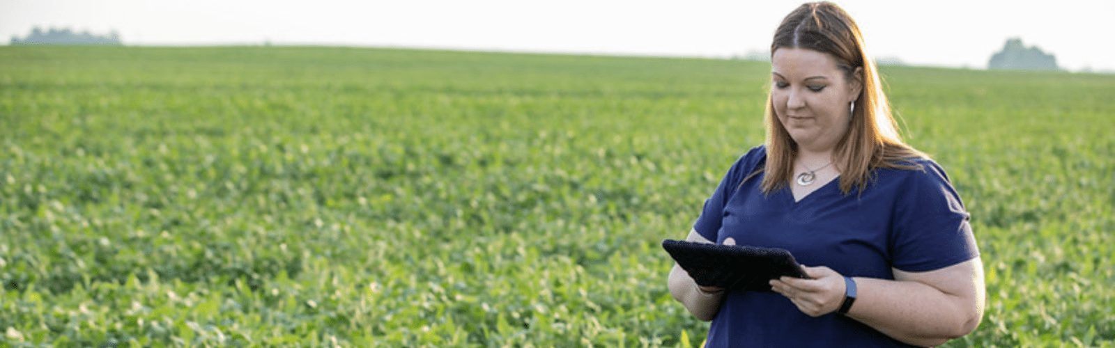 double-crop soybeans in Illinois