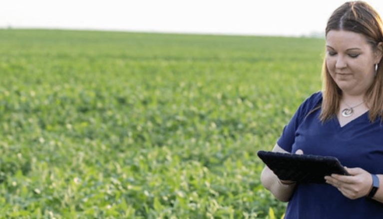 double-crop soybeans in Illinois