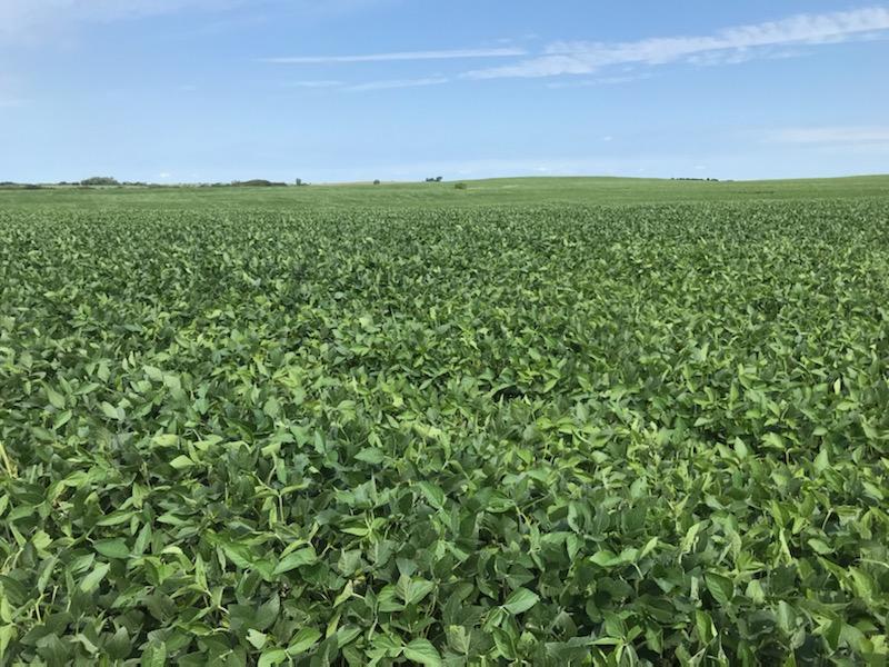 Three generations of Missouri farmers promote soybeans